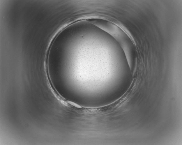 X0000071950813200607212225