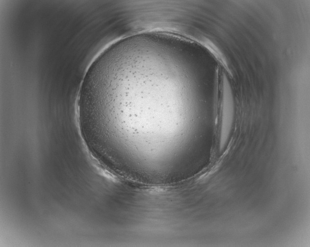 X0000071950814200607212225