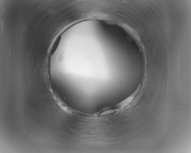 X0000071950816200607212225