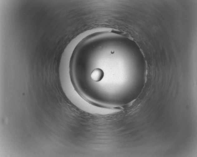 X0000071950818200607212224