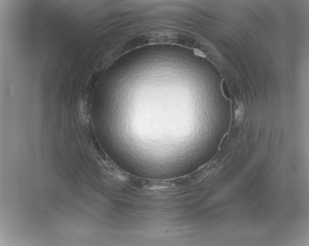 X0000071950819200607212224