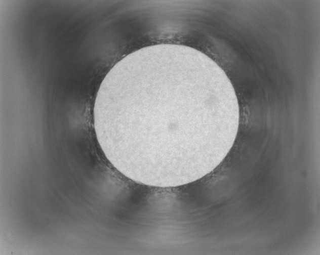 X0000071950820200607212224