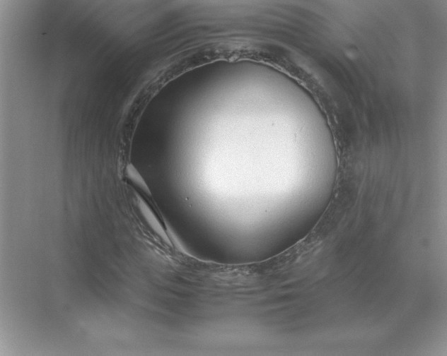 X0000071950823200607212224