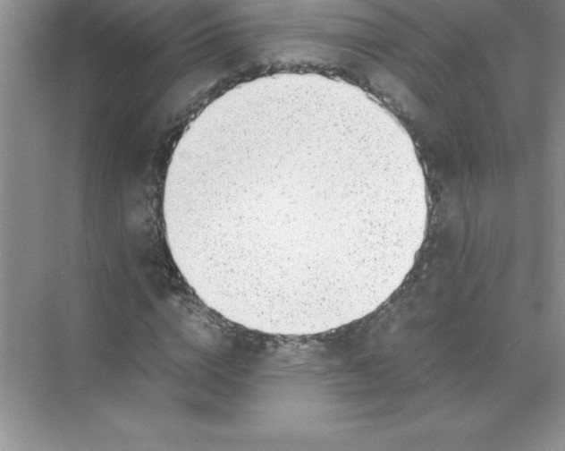 X0000071950824200607212224