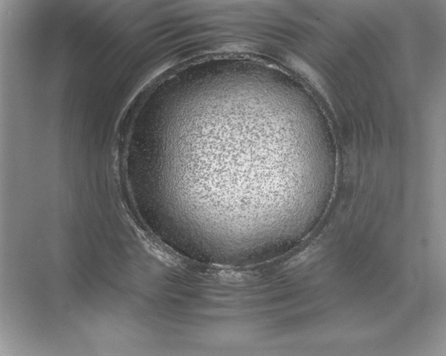 X0000071950827200607212224