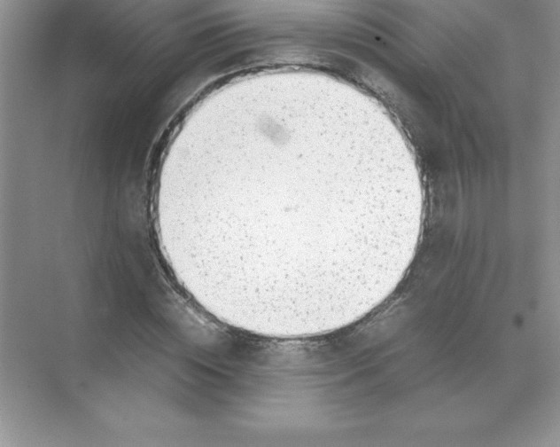 X0000071950828200607212224