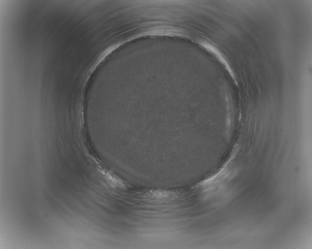 X0000071950829200607212224