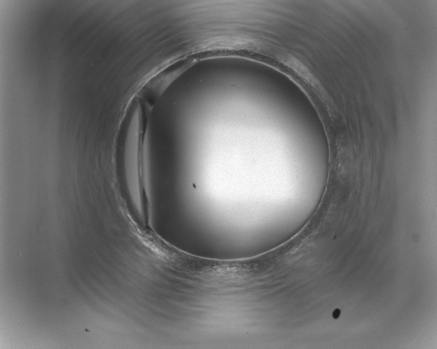 X0000071950834200607212224