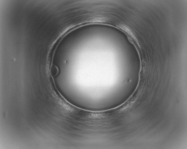 X0000071950835200607212224