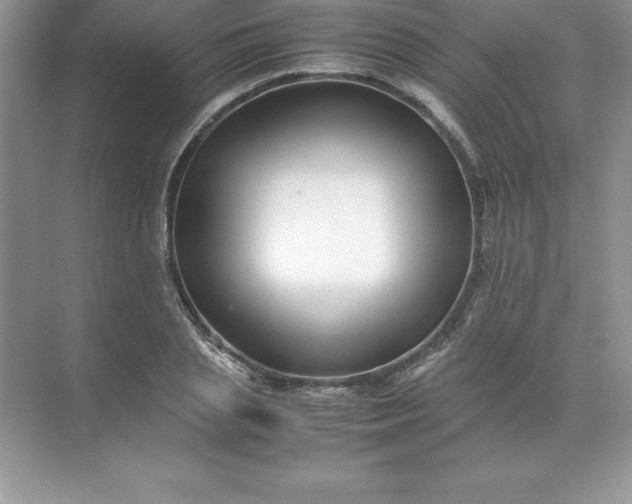 X0000071950837200607212224