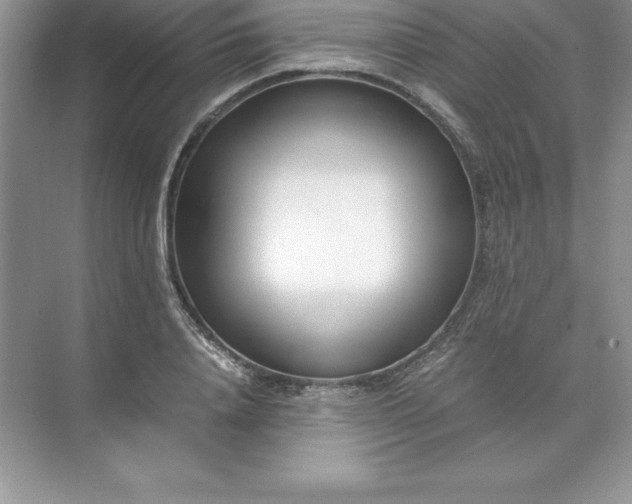 X0000071950840200607212224