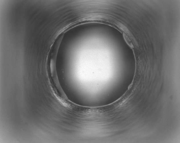 X0000071950842200607212224