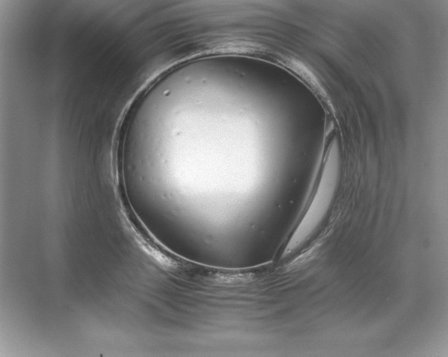 X0000071950843200607212224