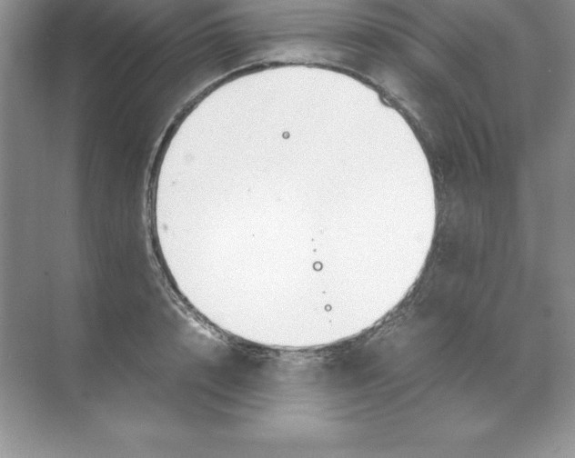 X0000071950848200607212224