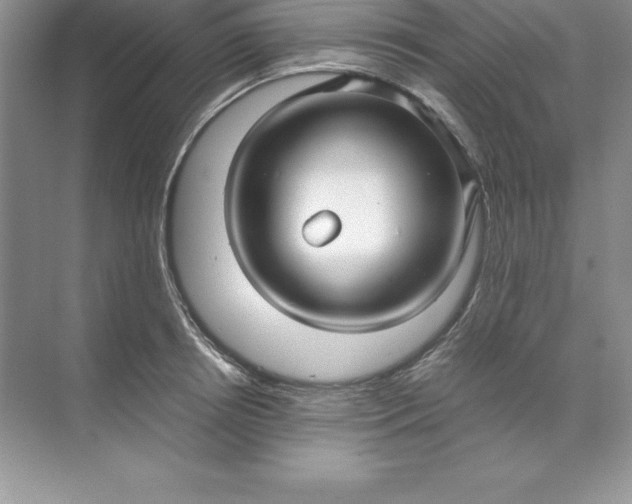 X0000071950850200607212224