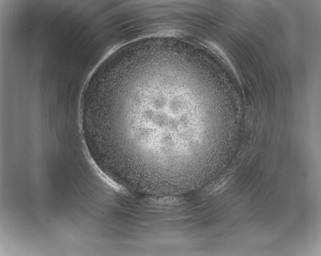 X0000071950851200607212224