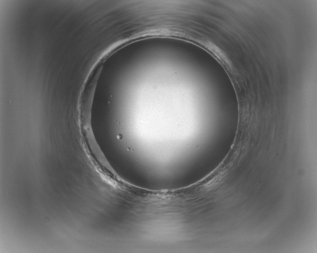 X0000071950854200607212224