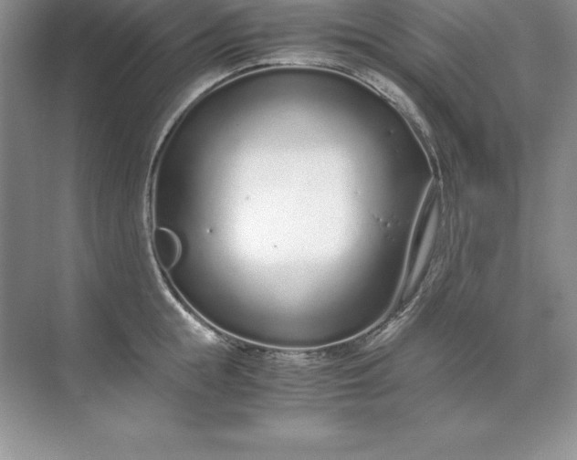 X0000071950855200607212224