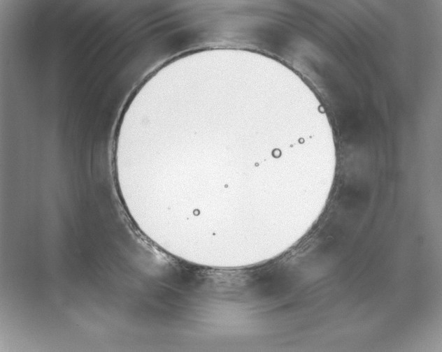 X0000071950856200607212225