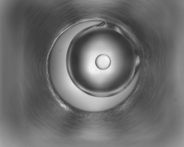 X0000071950858200607212225