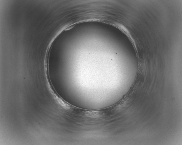 X0000071950859200607212225