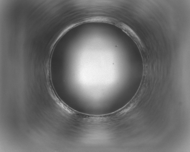 X0000071950860200607212225