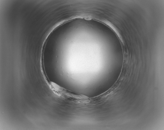 X0000071950861200607212225