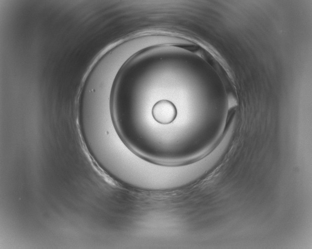 X0000071950862200607212225