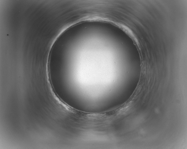 X0000071950863200607212225