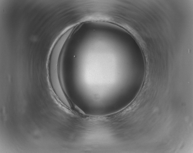 X0000071950864200607212225