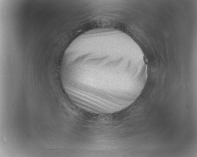 X0000071950865200607212224