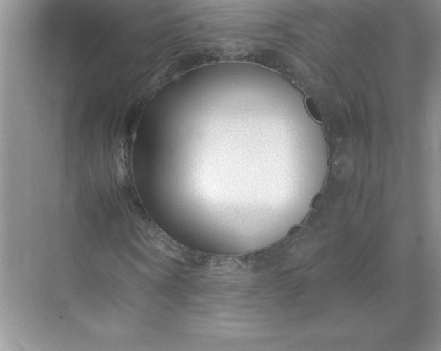 X0000071950866200607212224