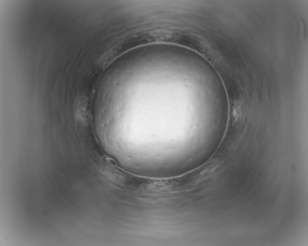 X0000071950867200607212224