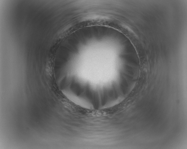 X0000071950869200607212224