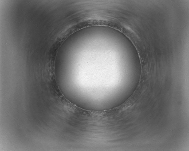 X0000071950870200607212224