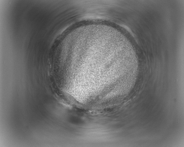 X0000071950871200607212224