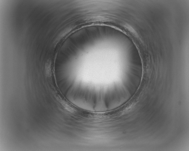 X0000071950873200607212224