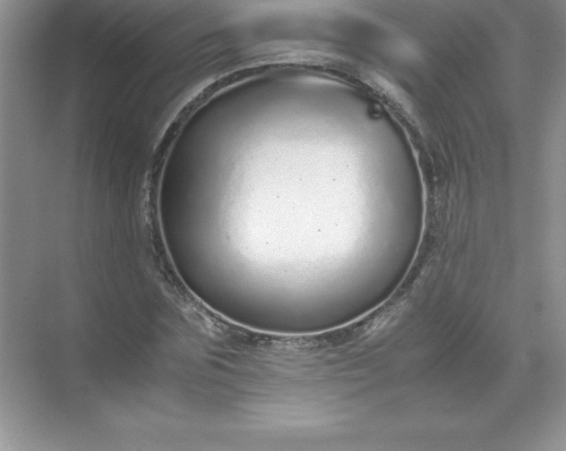 X0000071950875200607212224