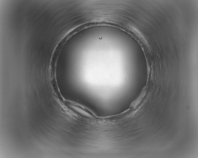 X0000071950876200607212224