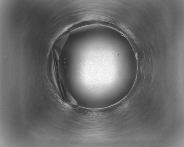 X0000071950877200607212224