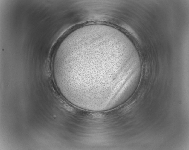 X0000071950878200607212224