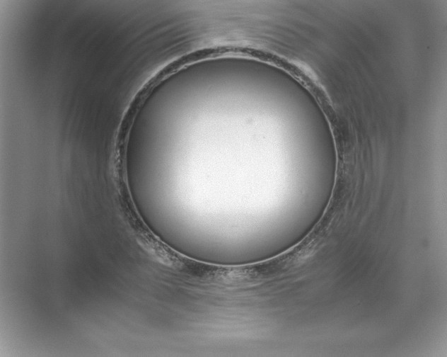 X0000071950879200607212224