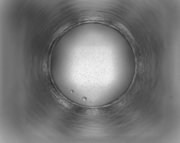 X0000071950882200607212224