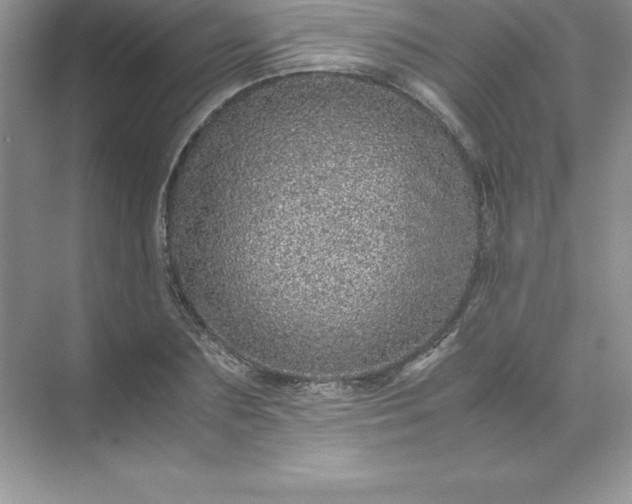 X0000071950883200607212224