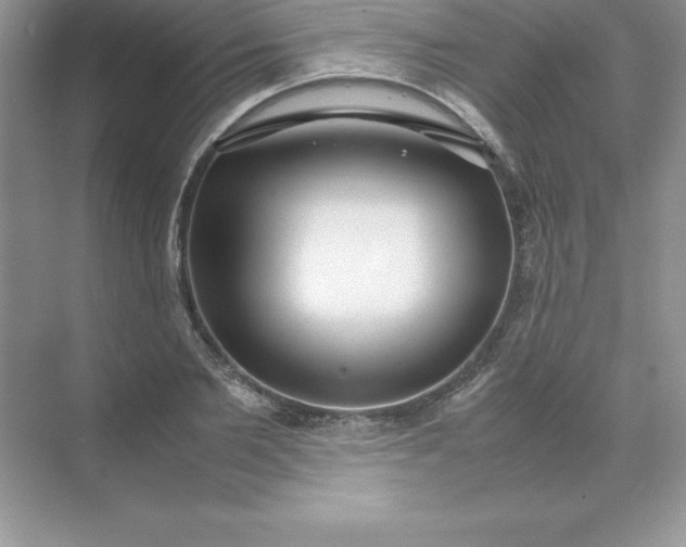 X0000071950885200607212223