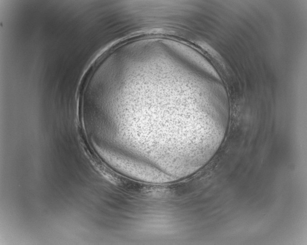 X0000071950886200607212223