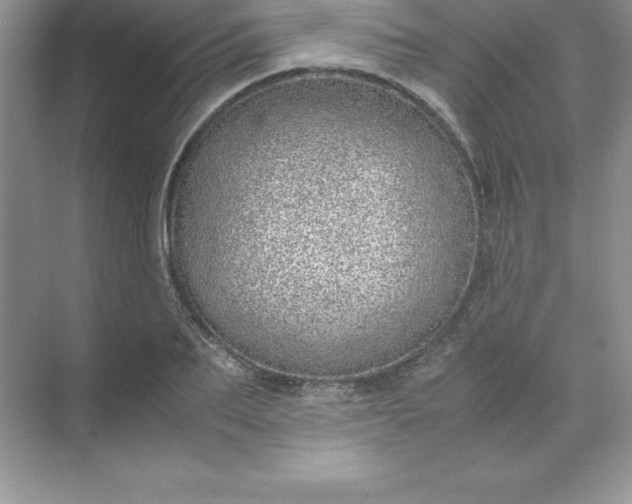 X0000071950887200607212223