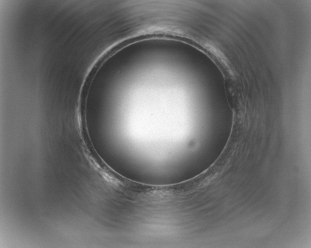 X0000071950888200607212223