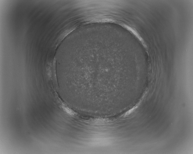 X0000071950889200607212223