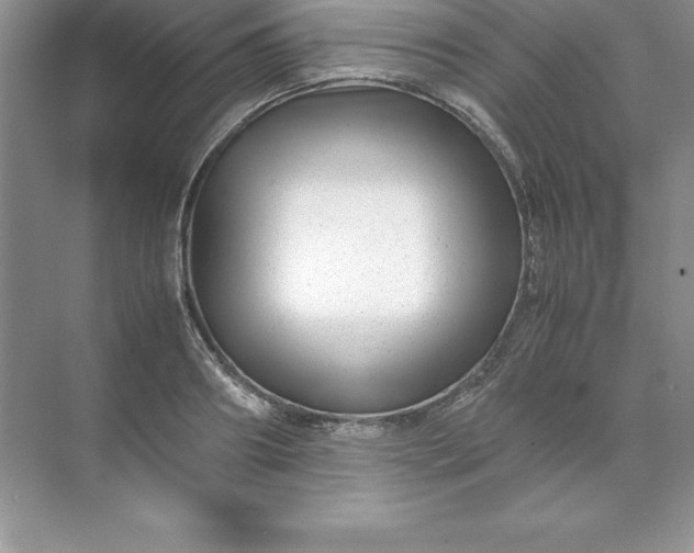 X0000071950890200607212223